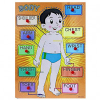 Wooden Human Body Parts Learning Set