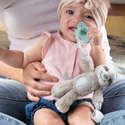 Dr. Brown's Sloth Lovey with Aqua One-Piece Pacifier | AC211