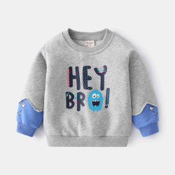 Summer Sweatshirt For Baby Boy Hey BRO