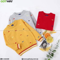 Knitted Design Fancy Sweater | GW_CL_1443