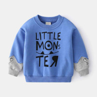 Baby Blue Sweatshirt for Summer